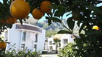 Hande Homes * كمر